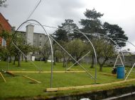Polytunnel 6